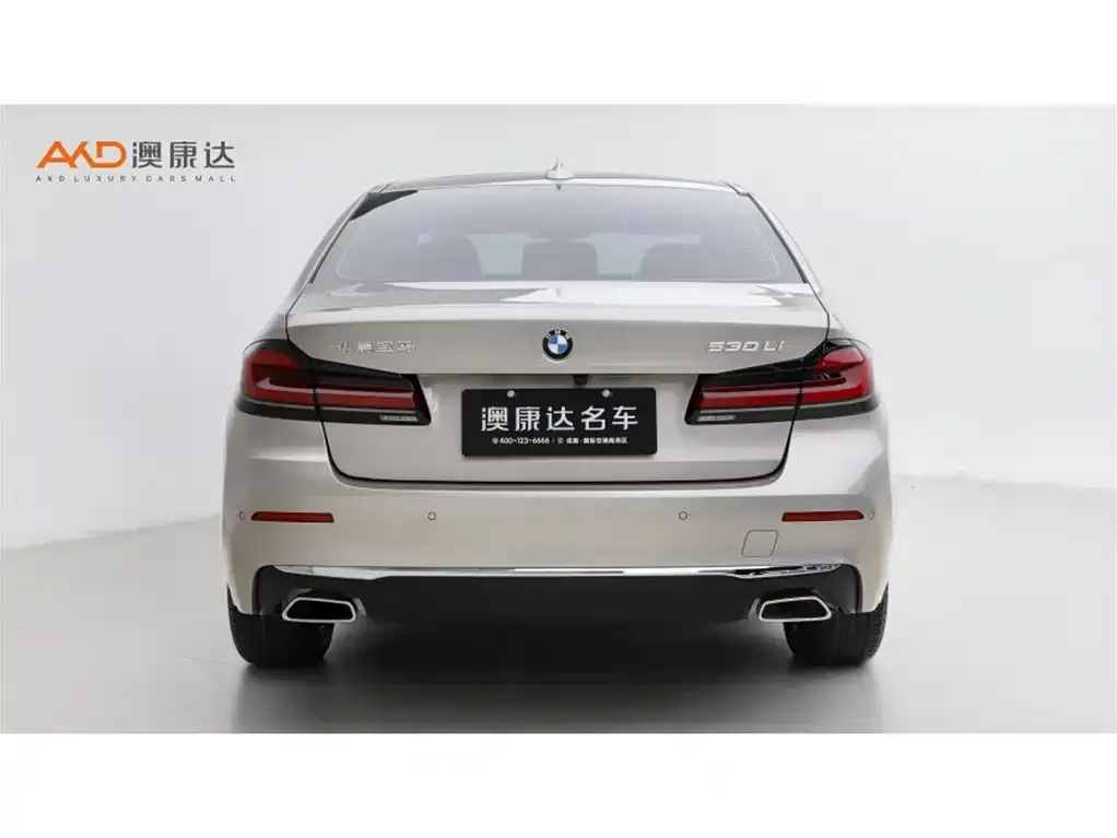 BMW 5 Series 2021 из CN, фото 3