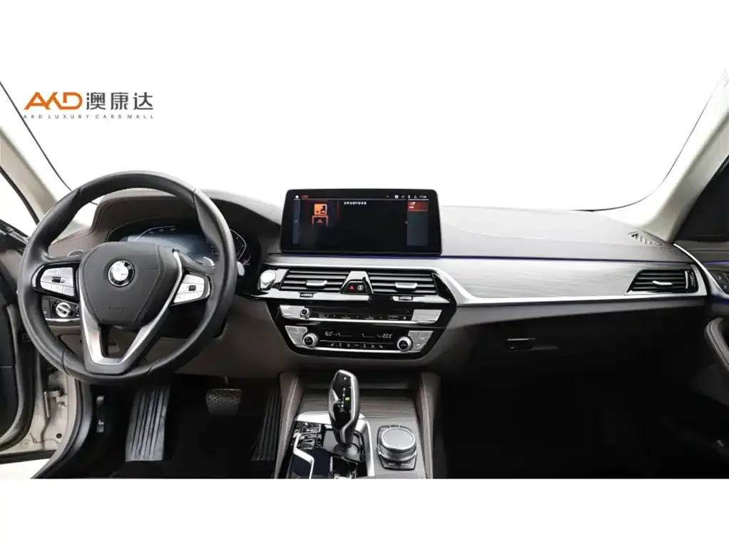 BMW 5 Series 2021 из CN, фото 6
