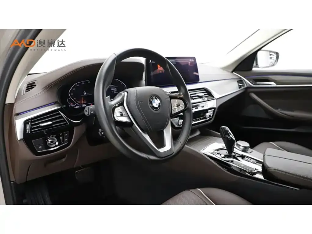 BMW 5 Series 2021 из CN, фото 9