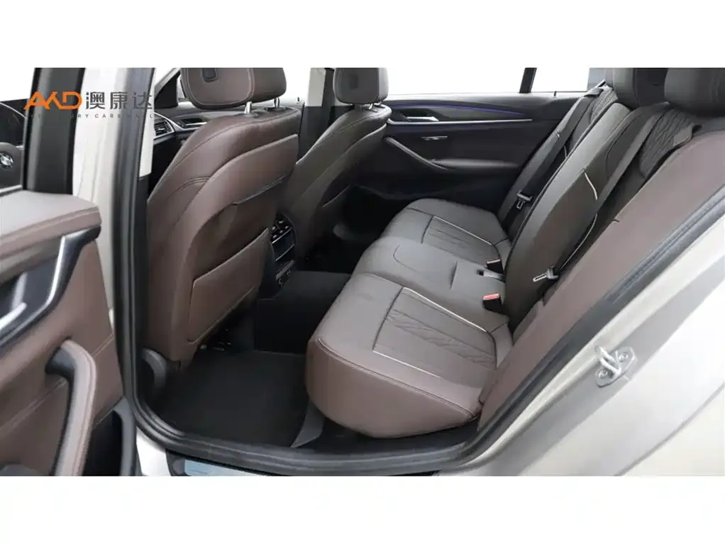 BMW 5 Series 2021 из CN, фото 7