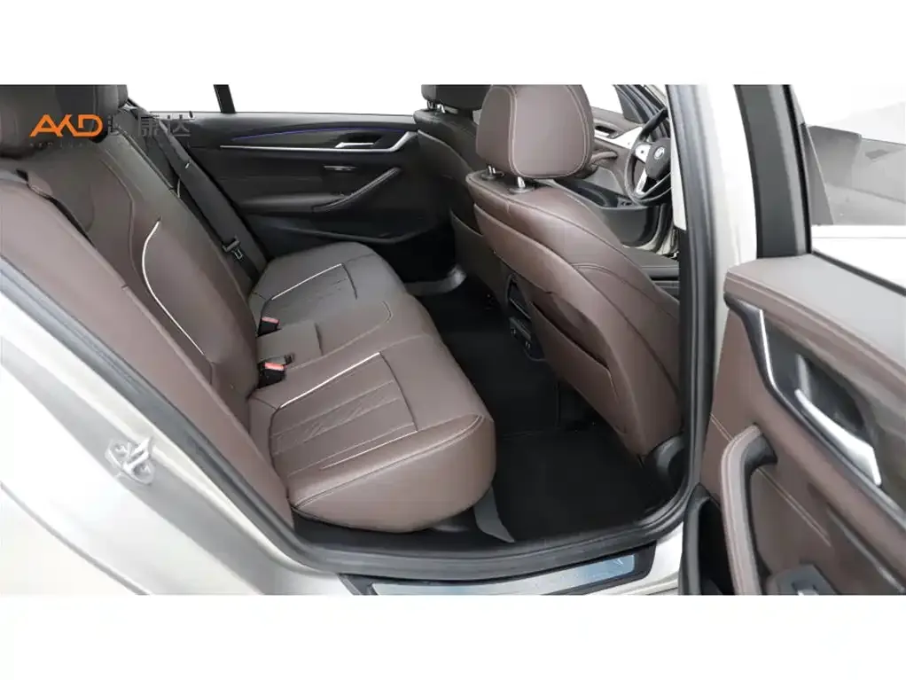BMW 5 Series 2021 из CN, фото 10