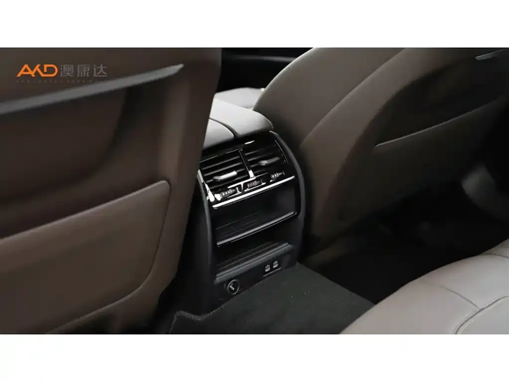 BMW 5 Series 2021 из CN, фото 4