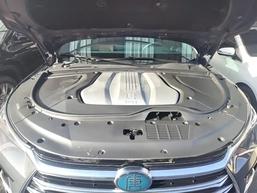 BYD Tang New Energy 2022 из CN, фото 9