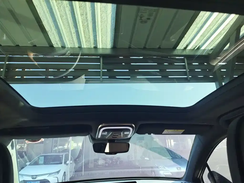 BYD Tang New Energy 2022 из CN, фото 3