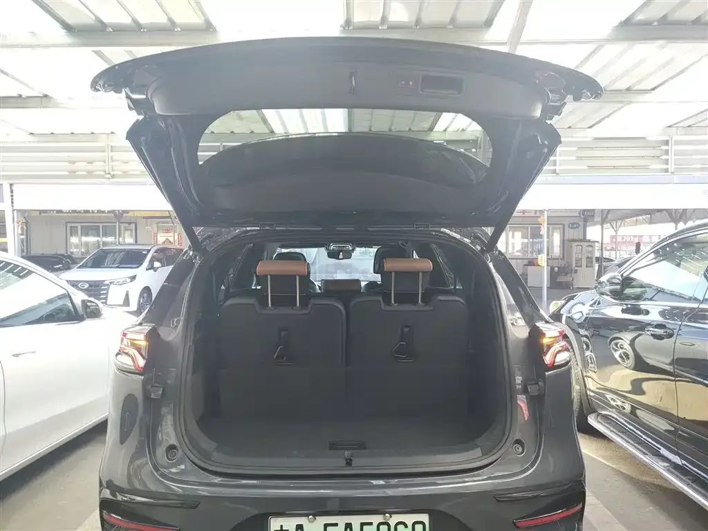 BYD Tang New Energy 2022 из CN, фото 4