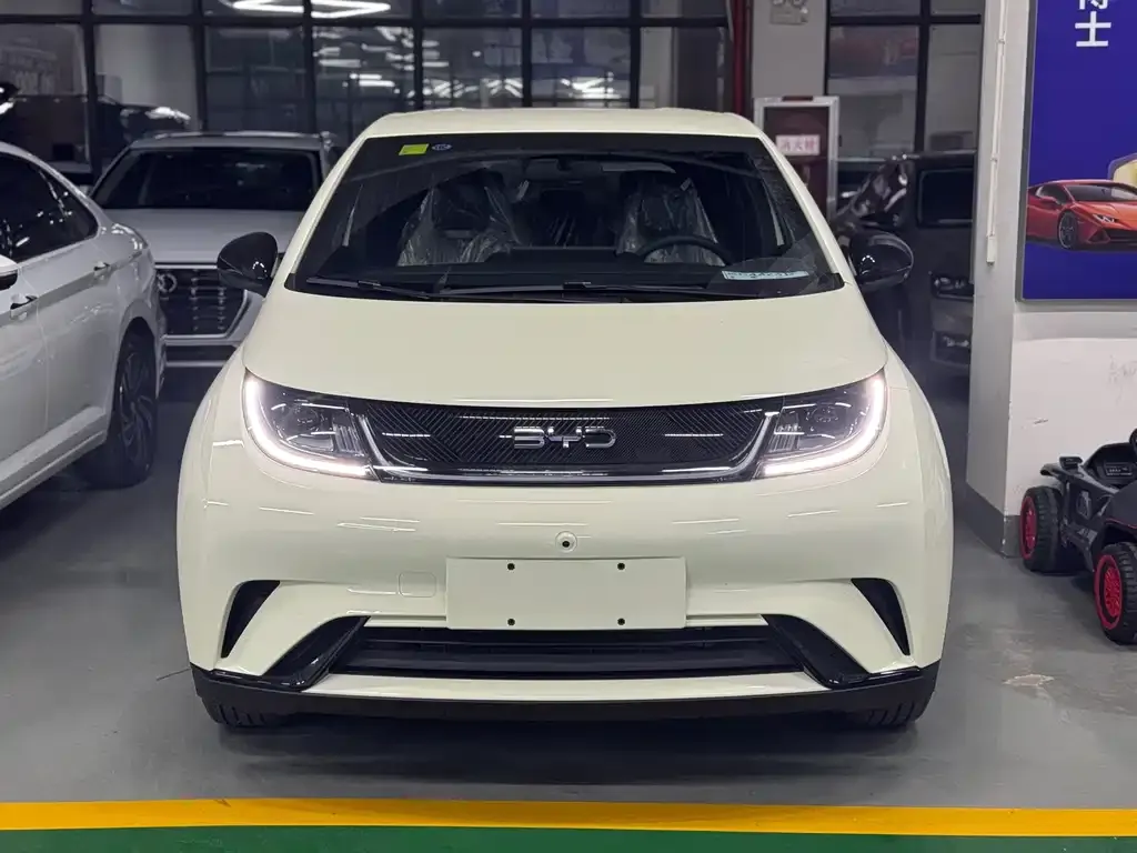 BYD Dolphin 2025 из CN, фото 1