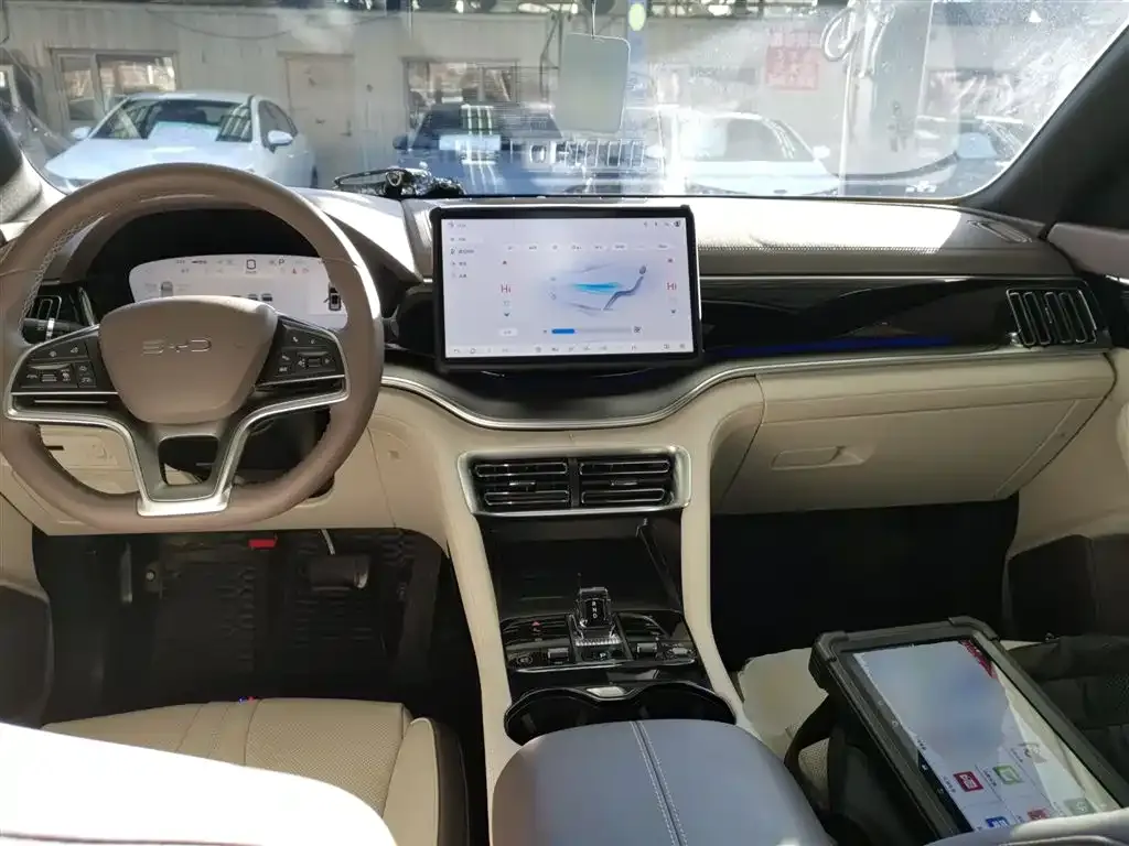 BYD PLUS New Energy 2024 из CN, фото 10