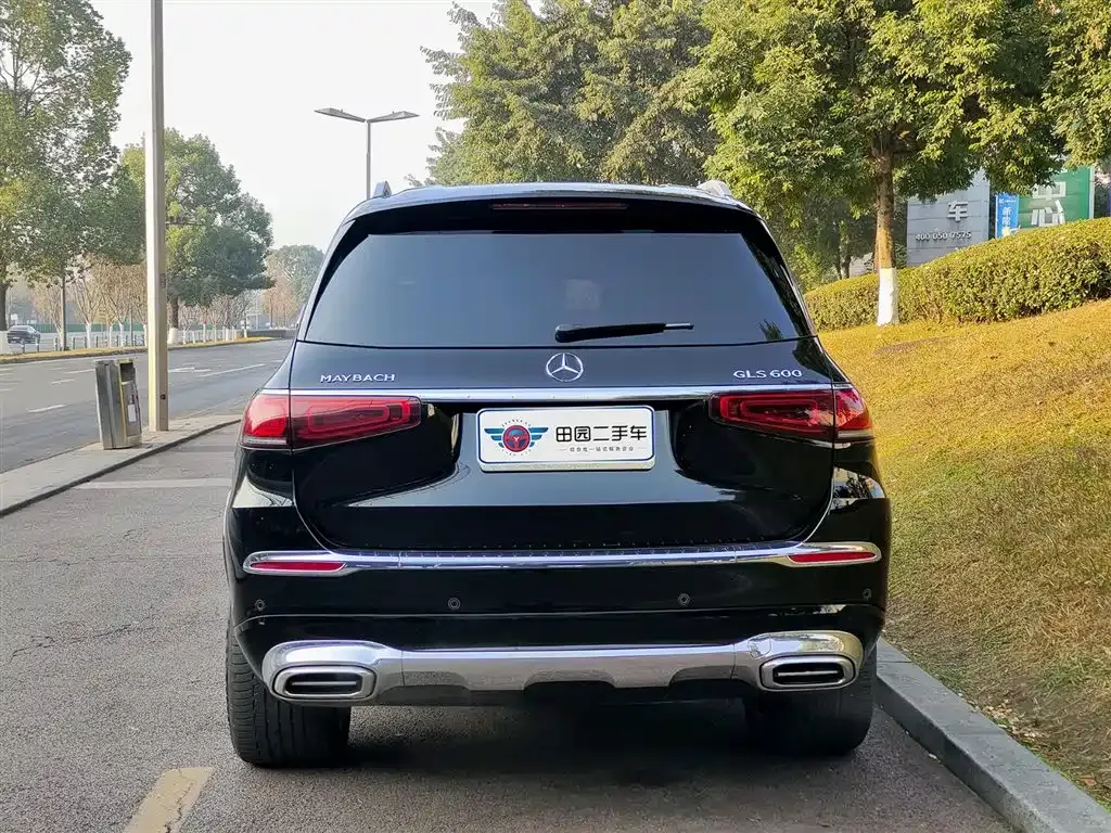 Mercedes-Benz GLS — фото 9