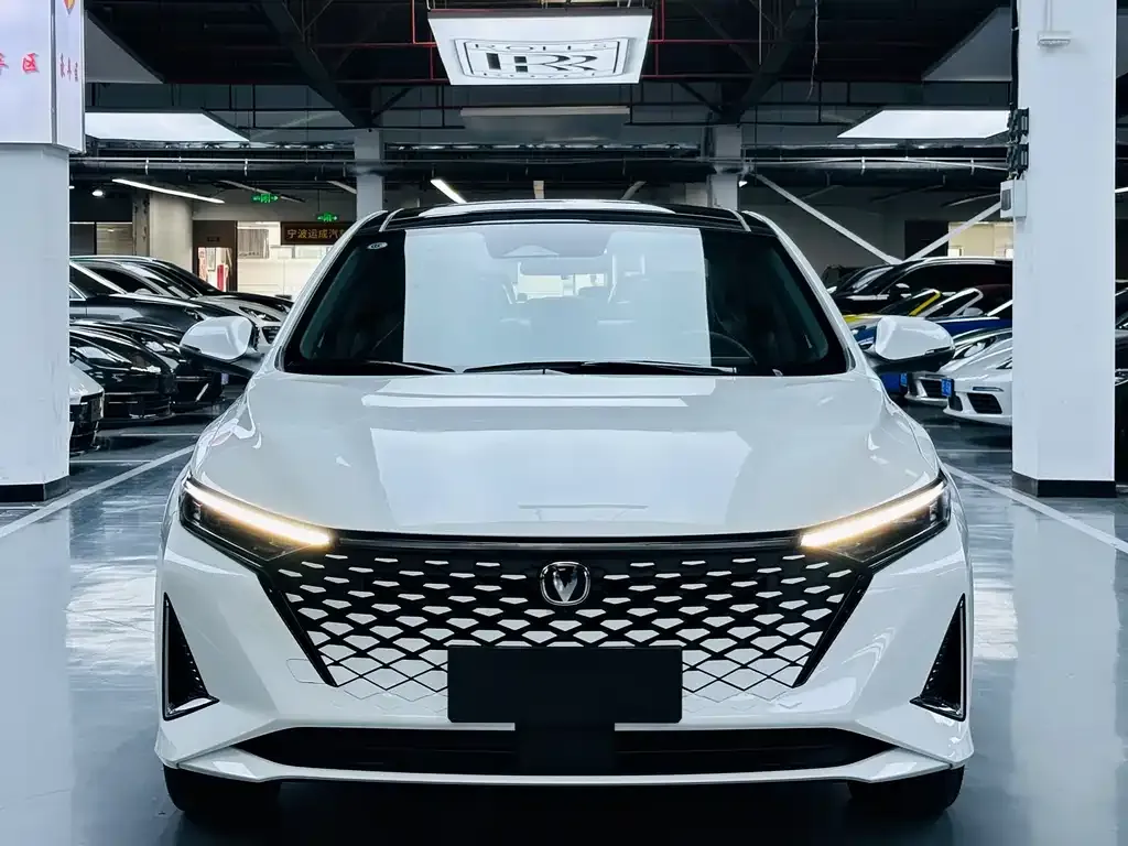 Changan Ruicheng PLUS 2026 из CN, фото 10