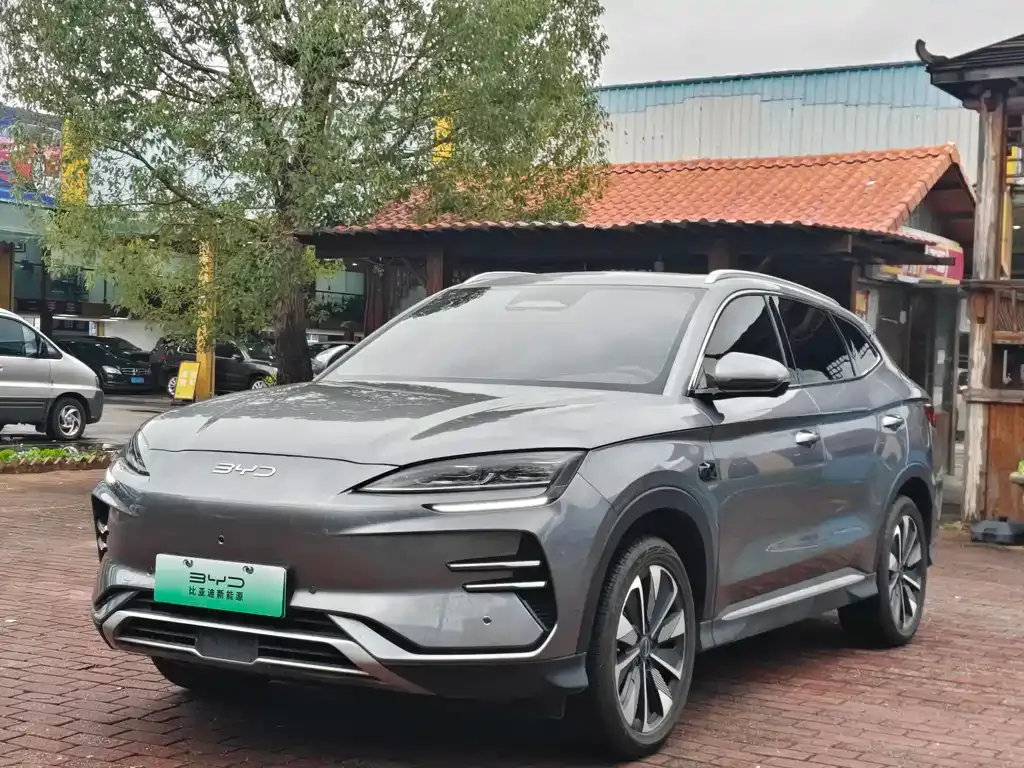 BYD PLUS New Energy — фото 1