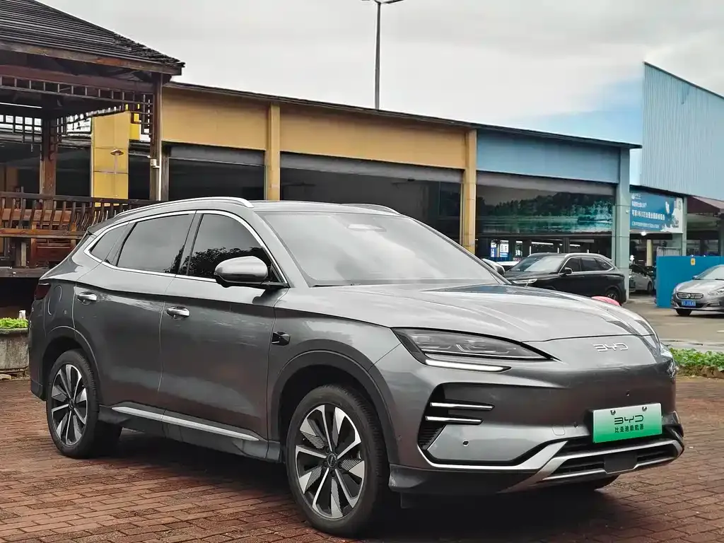 BYD PLUS New Energy — фото 3