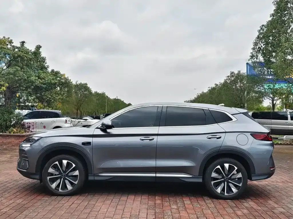 BYD PLUS New Energy — фото 4