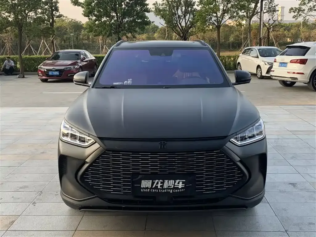 BYD PLUS New Energy 2023 из CN, фото 2