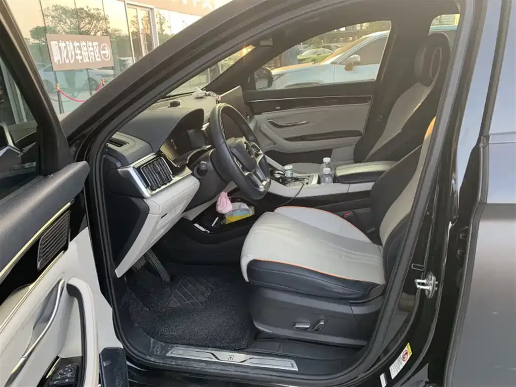 BYD PLUS New Energy 2023 из CN, фото 4