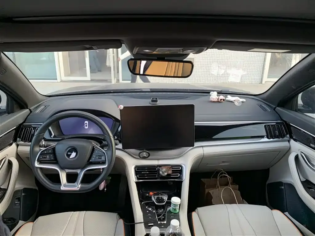 BYD PLUS New Energy 2023 из CN, фото 5
