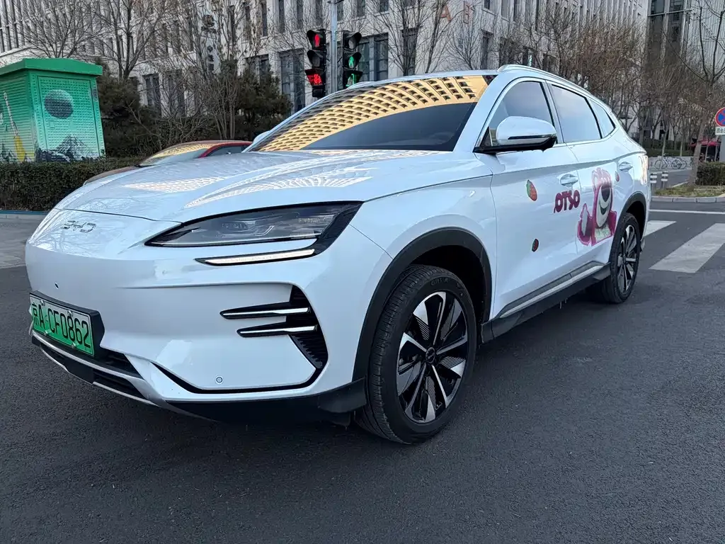BYD PLUS New Energy — фото 1