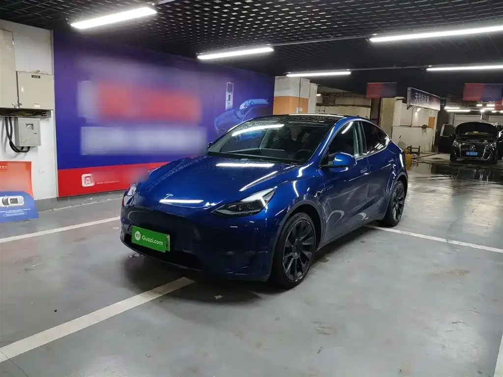 Tesla Model Y 2021 из CN, фото 1