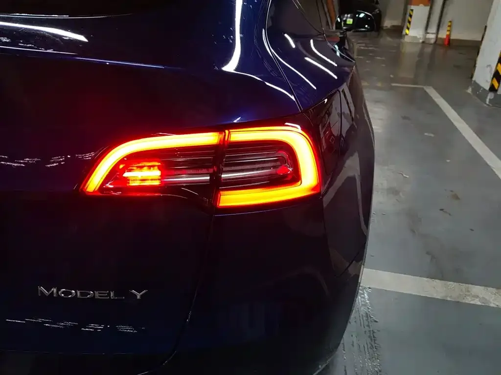 Tesla Model Y 2021 из CN, фото 4