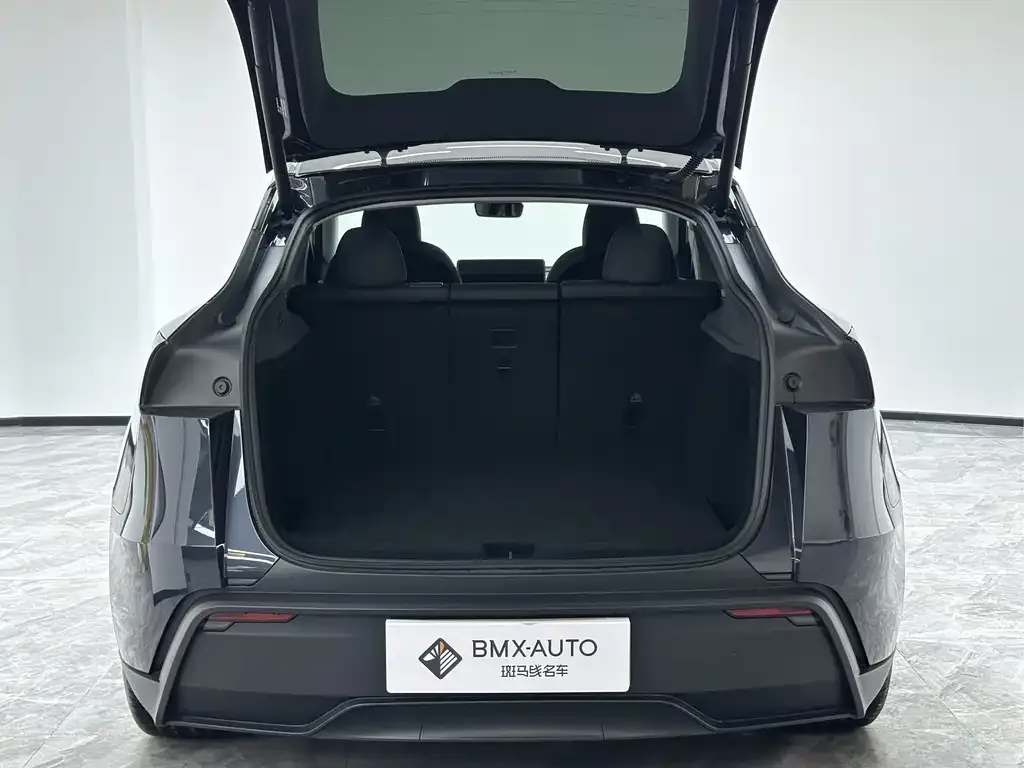 Tesla Model Y — фото 5