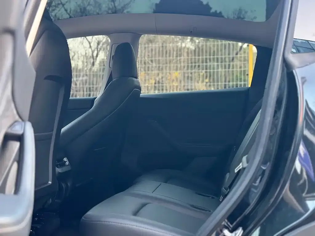 Tesla Model Y 2024 из CN, фото 5