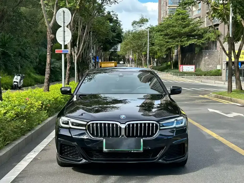 BMW 5 Series New Energy — фото 8