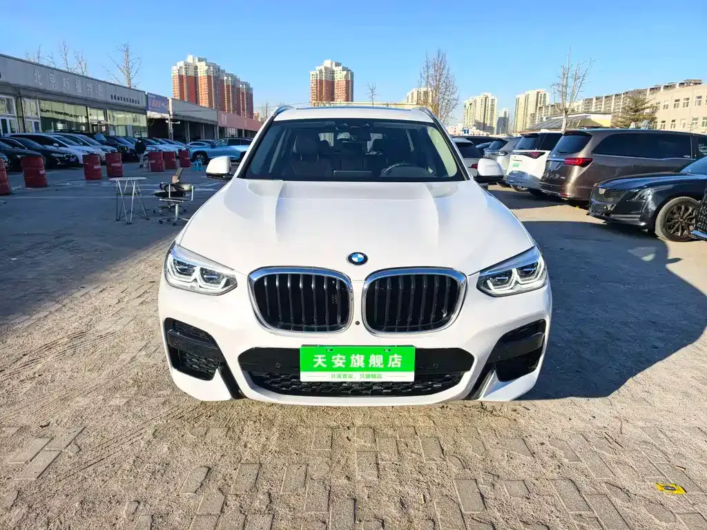 BMW X3 2021 из CN, фото 3