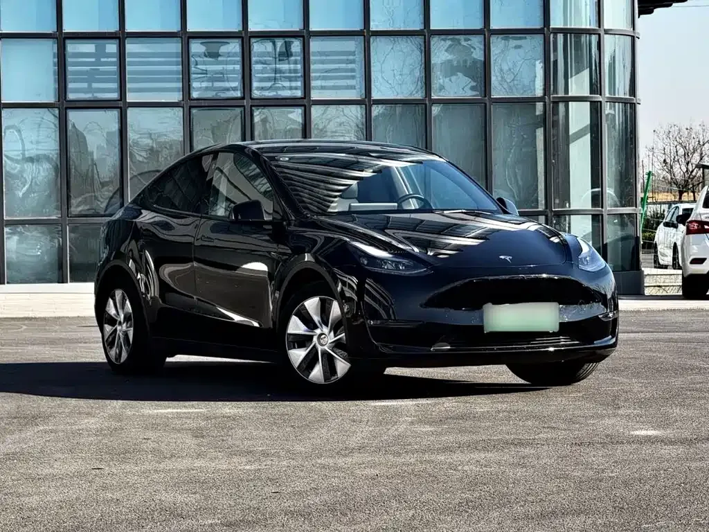 Tesla Model Y — фото 9
