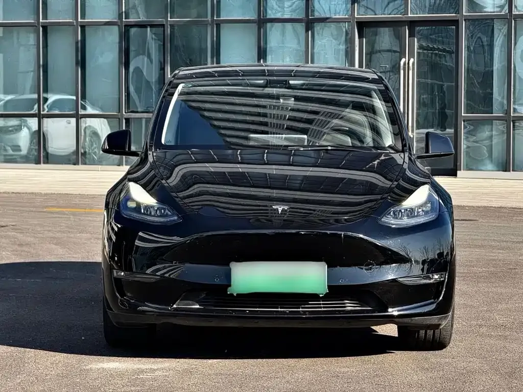 Tesla Model Y — фото 6