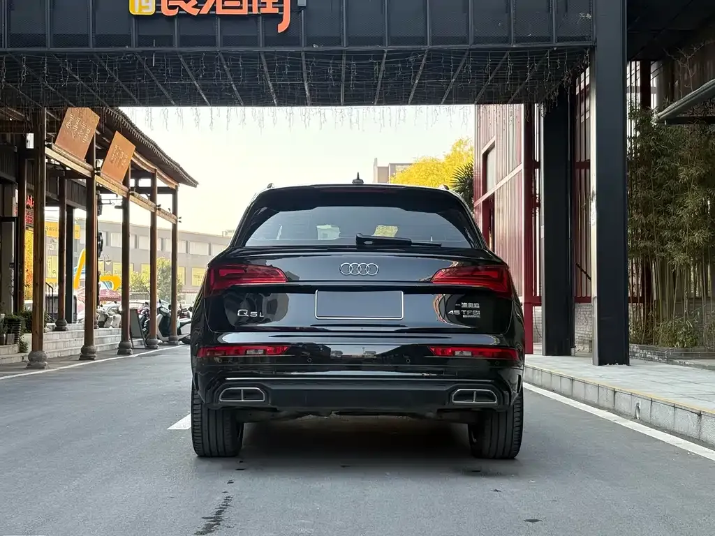 Audi Q5L 2024 из CN, фото 7
