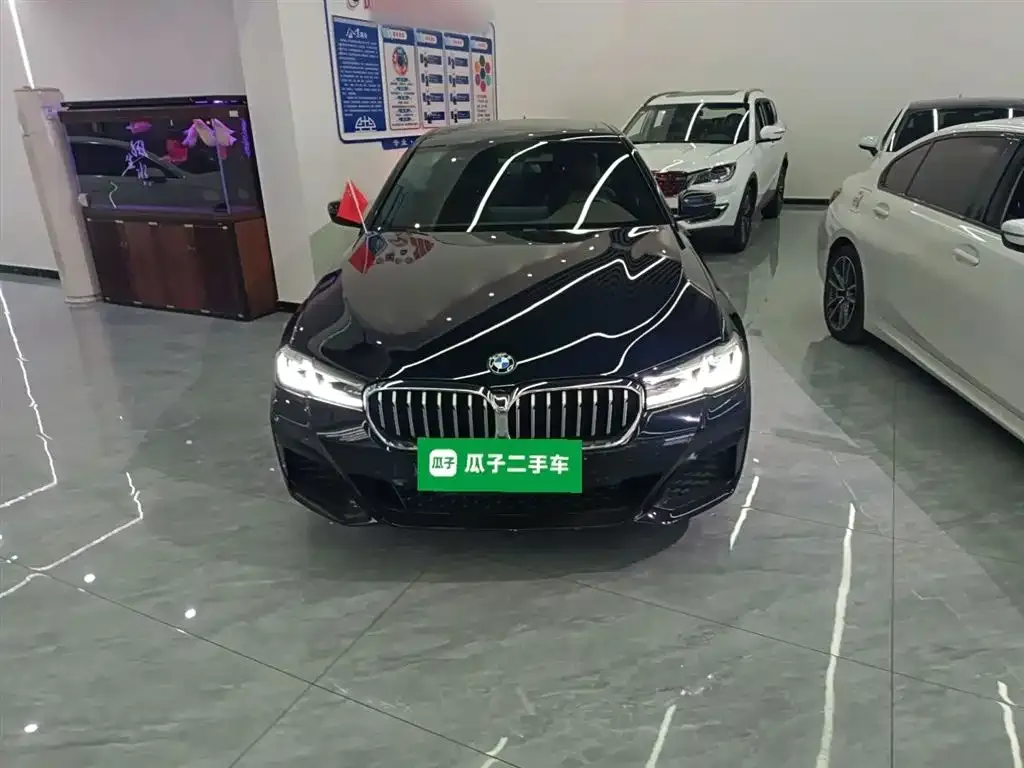 BMW 5 Series 2023 из CN, фото 7