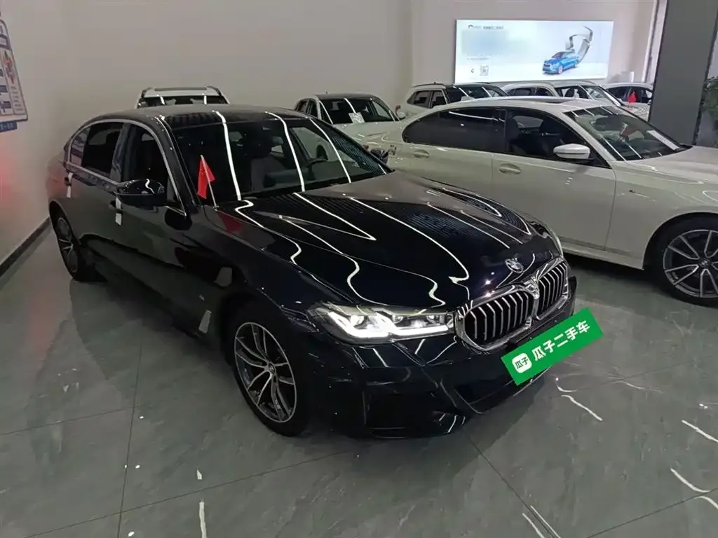BMW 5 Series 2023 из CN, фото 5