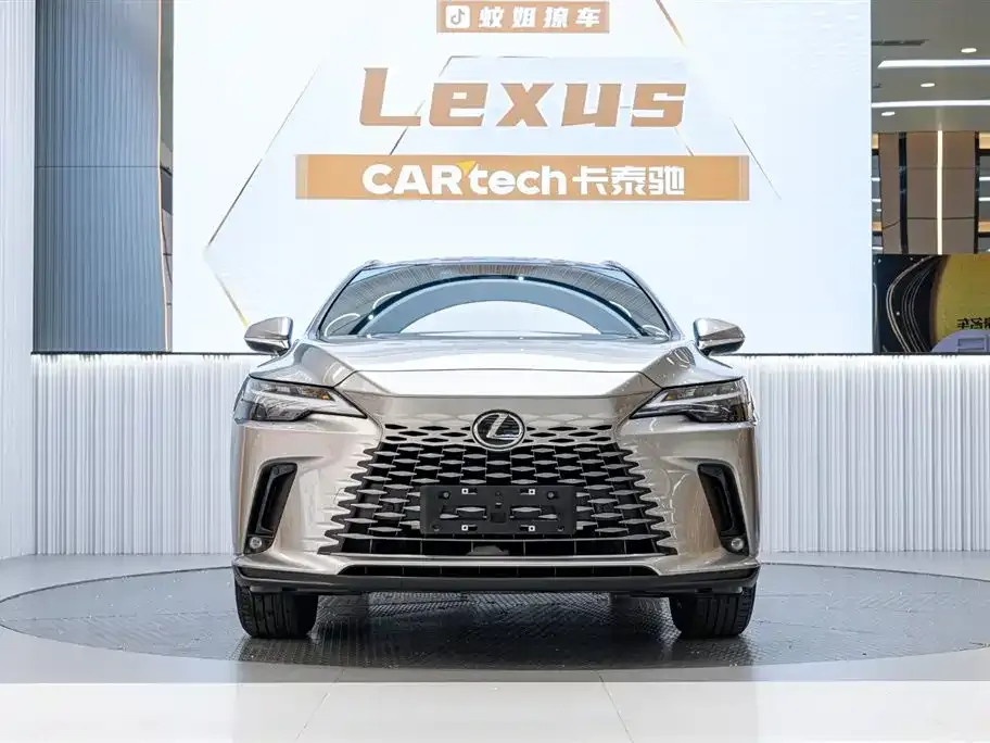 Lexus RX — фото 10