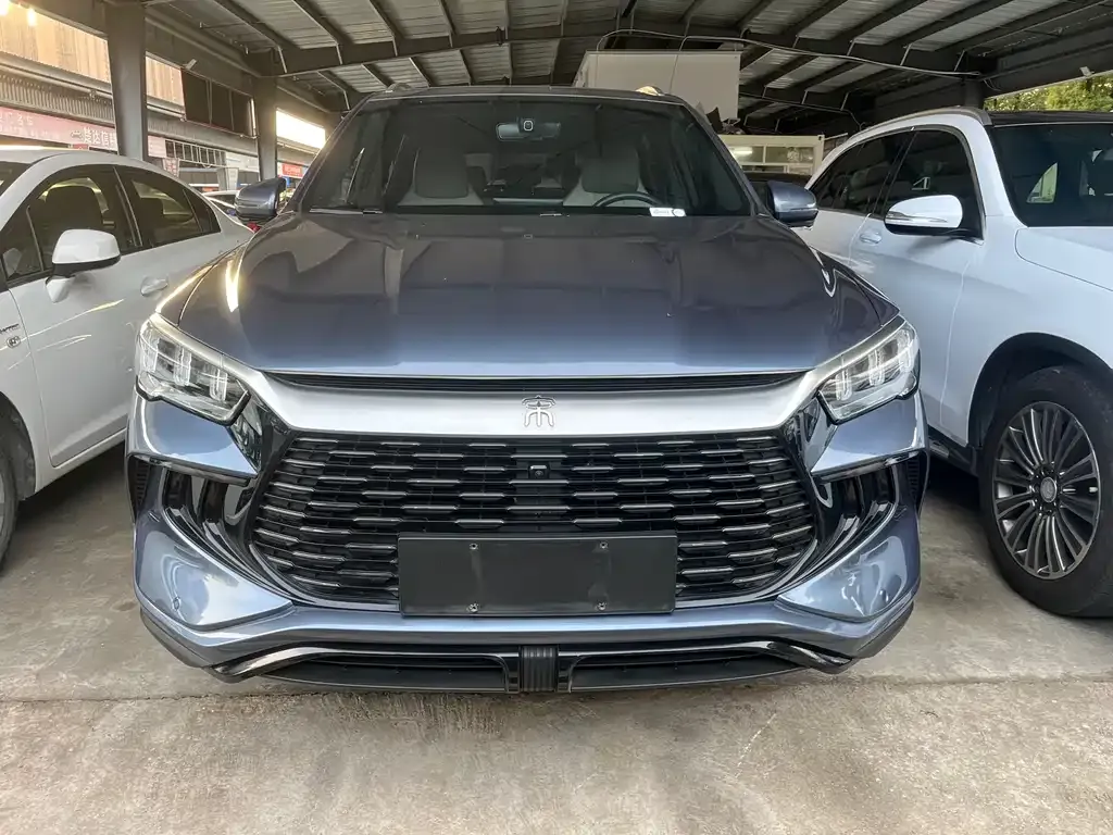 BYD Pro New Energy — фото 10