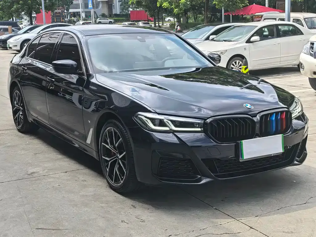 BMW 5 Series 2023 из CN, фото 8