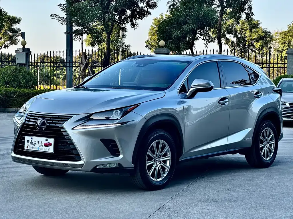 Lexus NX 2021 из CN, фото 1