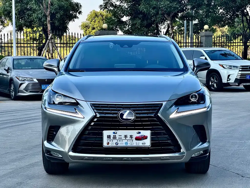Lexus NX 2021 из CN, фото 9