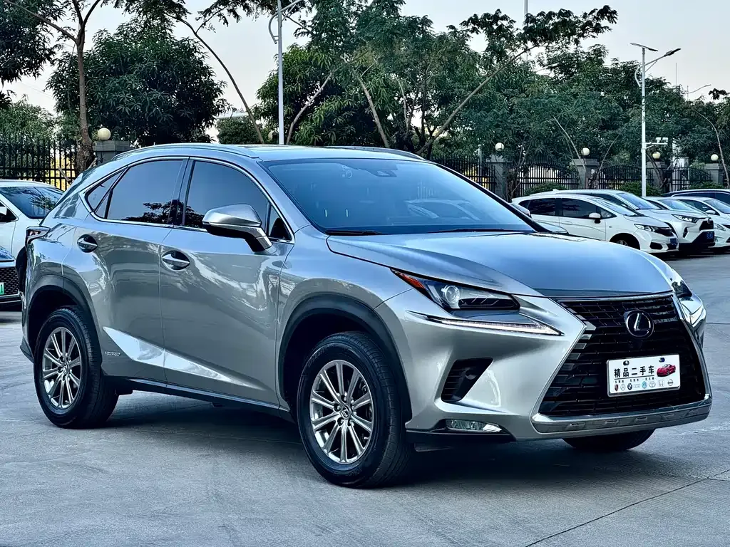 Lexus NX 2021 из CN, фото 5