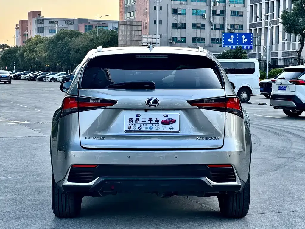Lexus NX 2021 из CN, фото 4