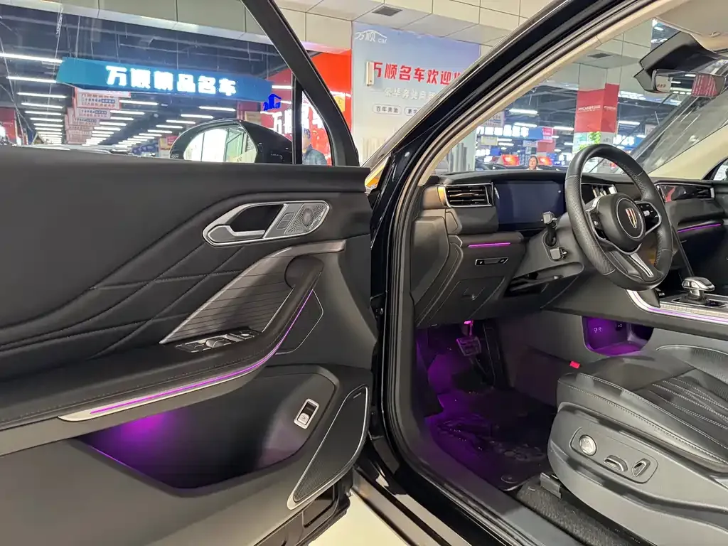 Hongqi HS7 PHEV 2024 из CN, фото 5