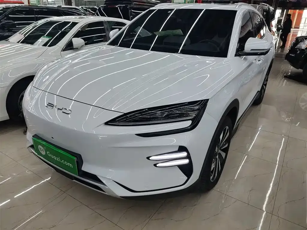 BYD PLUS New Energy 2024 из CN, фото 2