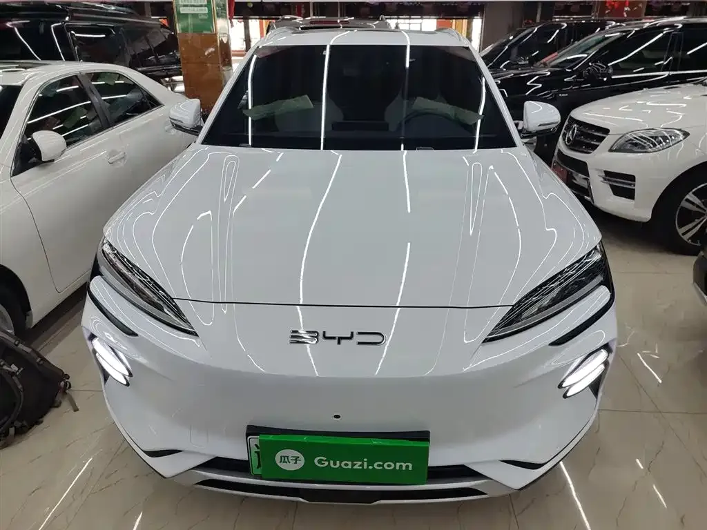 BYD PLUS New Energy 2024 из CN, фото 3