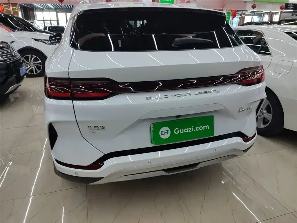 BYD PLUS New Energy 2024 из CN, фото 6