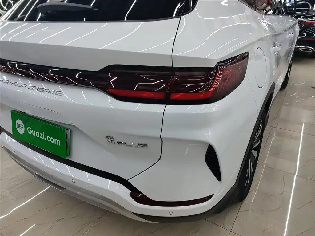 BYD PLUS New Energy 2024 из CN, фото 8
