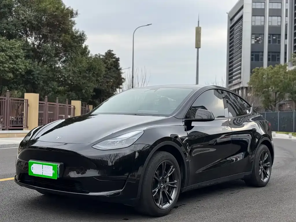 Tesla Model Y 2024 из CN, фото 1