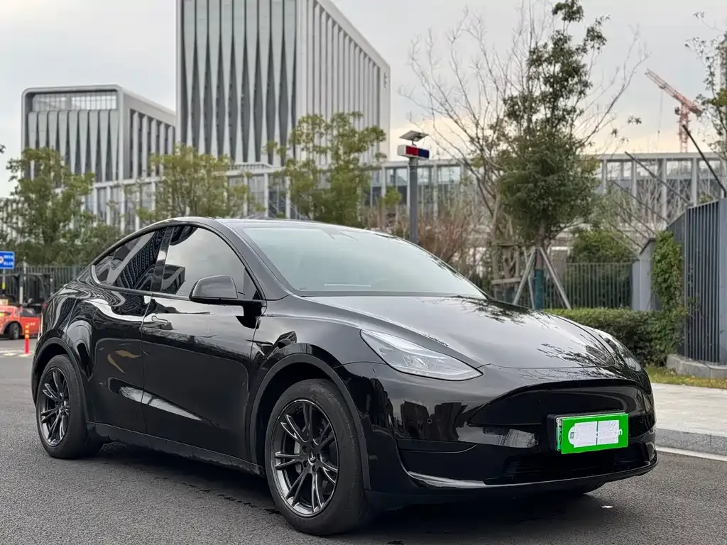 Tesla Model Y 2024 из CN, фото 3