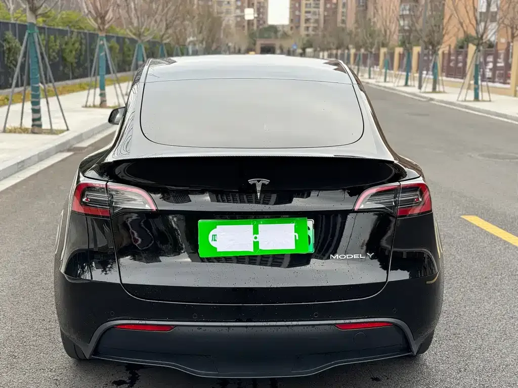 Tesla Model Y 2024 из CN, фото 2