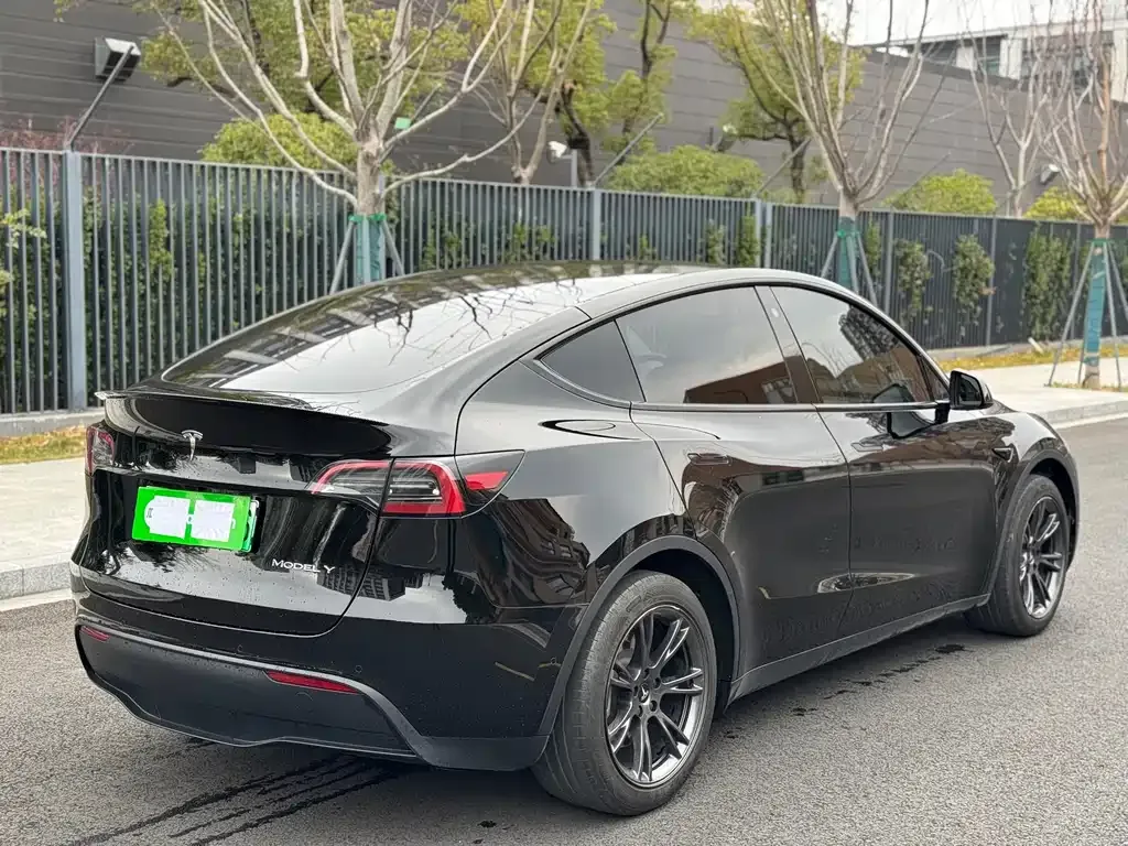 Tesla Model Y 2024 из CN, фото 8