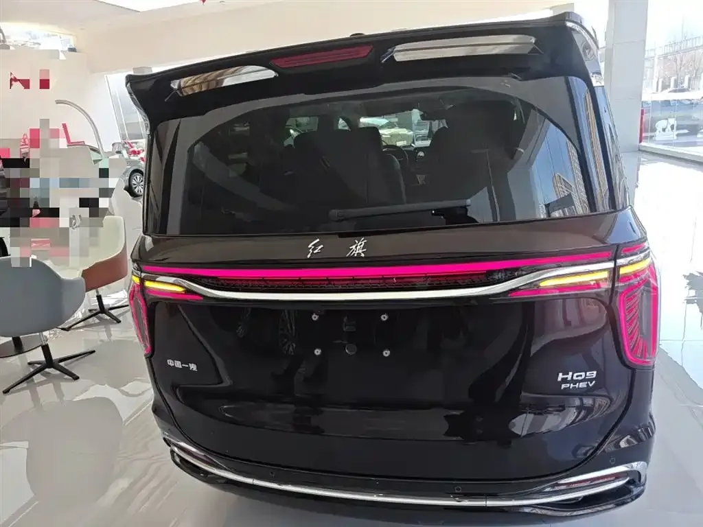 Hongqi HQ9 PHEV 2024 из CN, фото 8