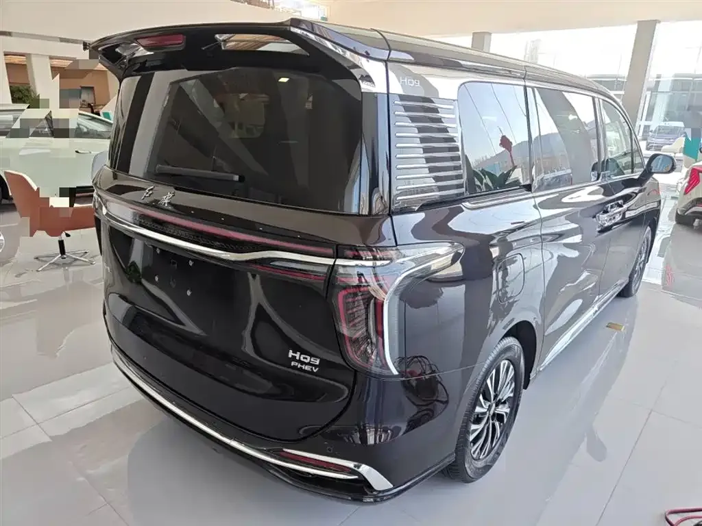 Hongqi HQ9 PHEV 2024 из CN, фото 6