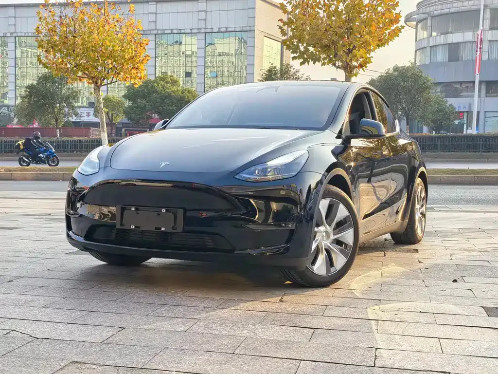Tesla Model Y — фото 1